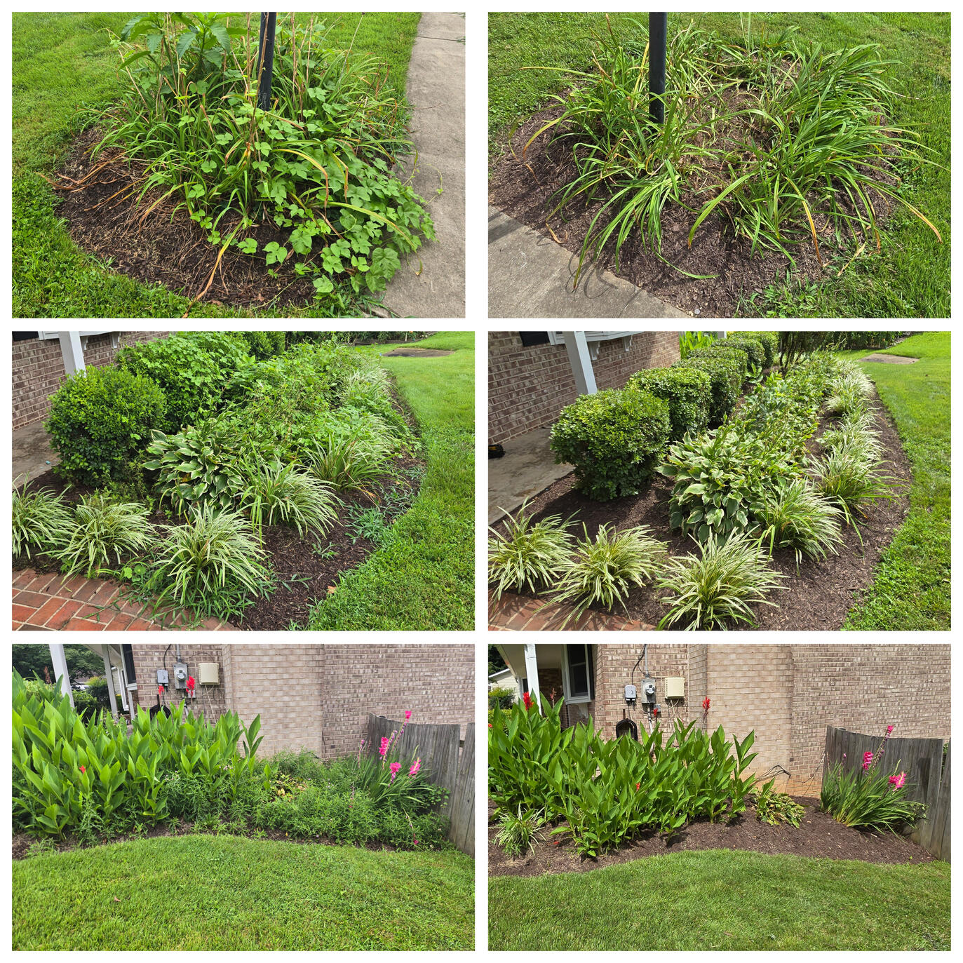 Landscape Bed Cleanup Landscape Bed Cleanup