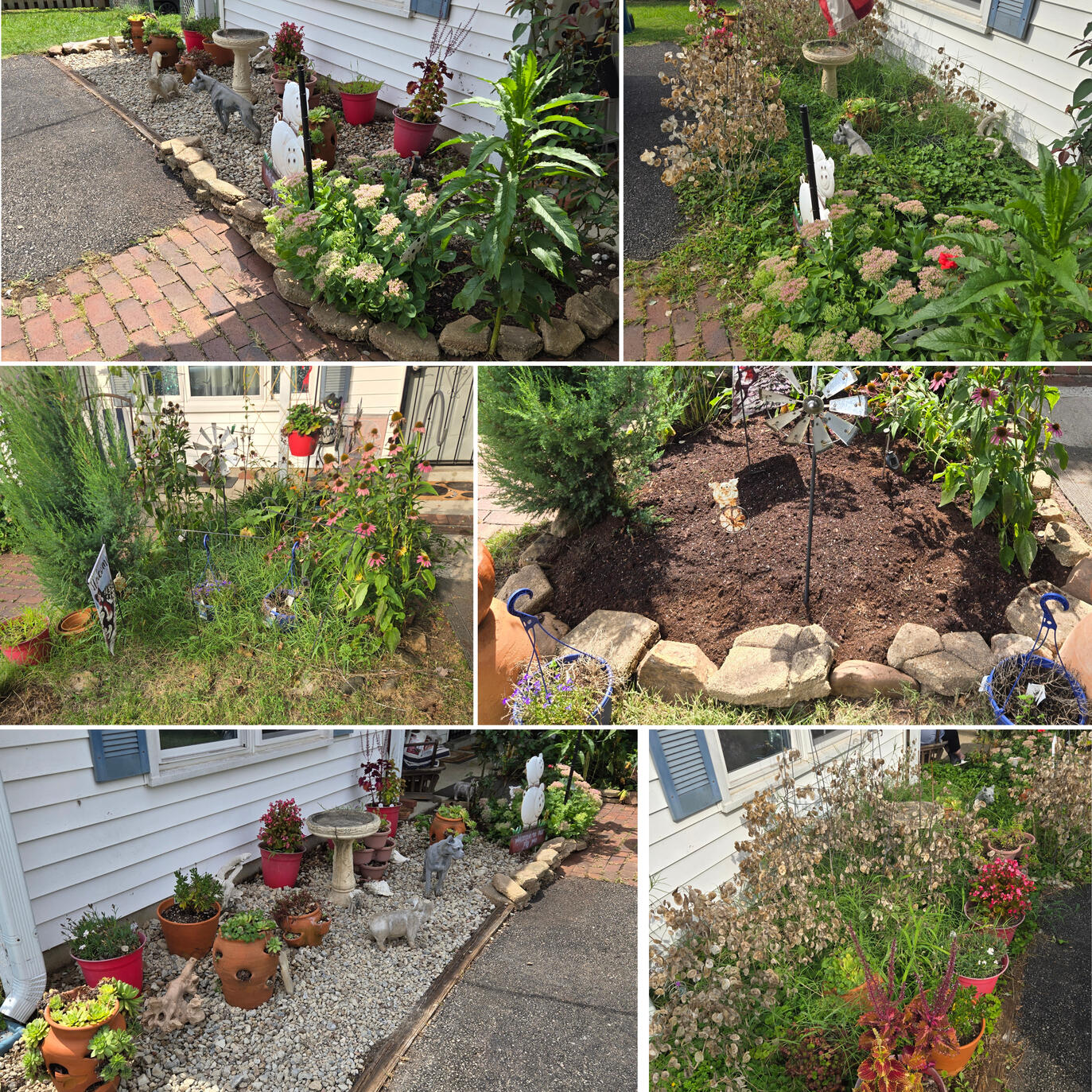 Landscape bed Cleanup Landscape bed Cleanup